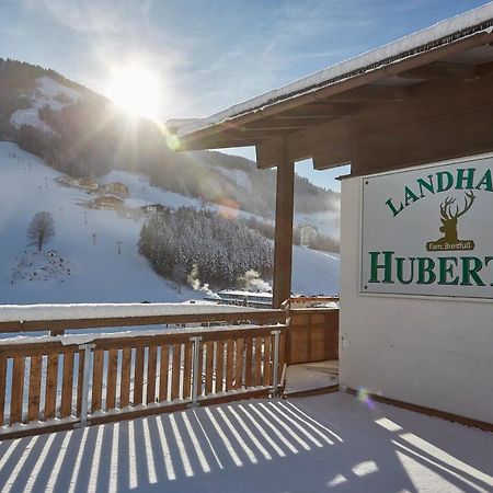 Chalet Lodge Hubertus 萨尔巴赫 外观 照片