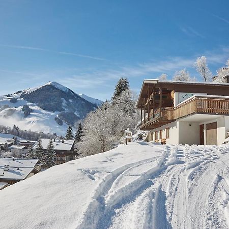 Chalet Lodge Hubertus 萨尔巴赫 外观 照片
