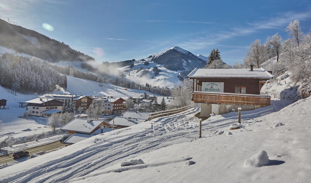 Chalet Lodge Hubertus 萨尔巴赫 外观 照片