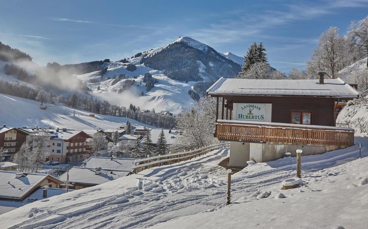 Chalet Lodge Hubertus 萨尔巴赫 外观 照片