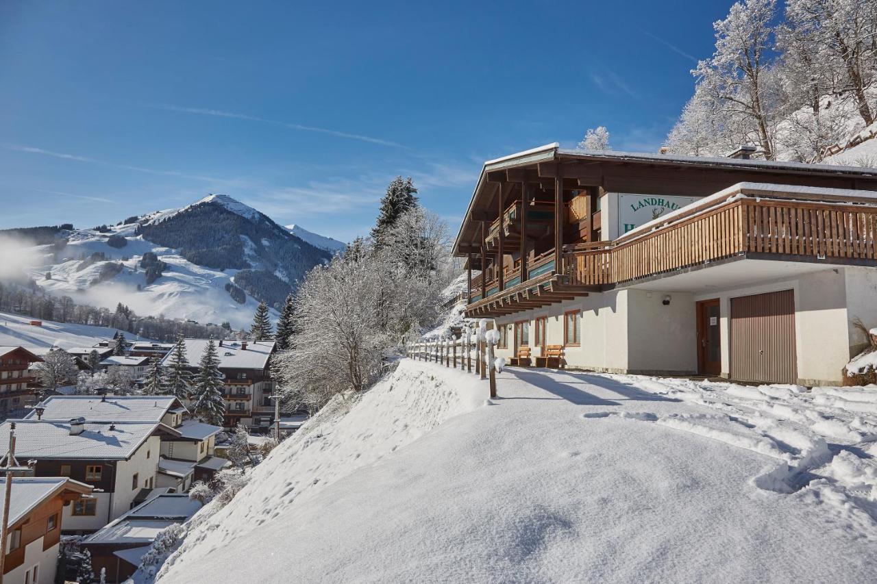 Chalet Lodge Hubertus 萨尔巴赫 外观 照片