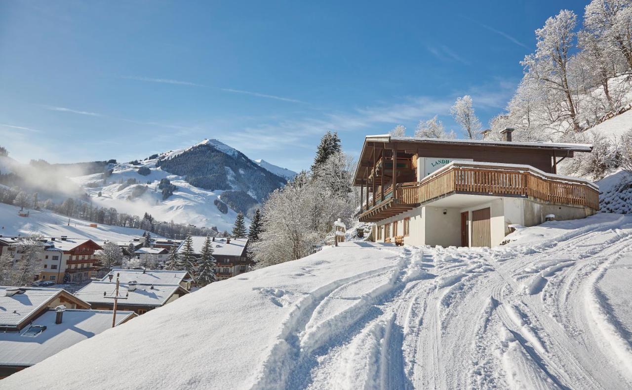 Chalet Lodge Hubertus 萨尔巴赫 外观 照片