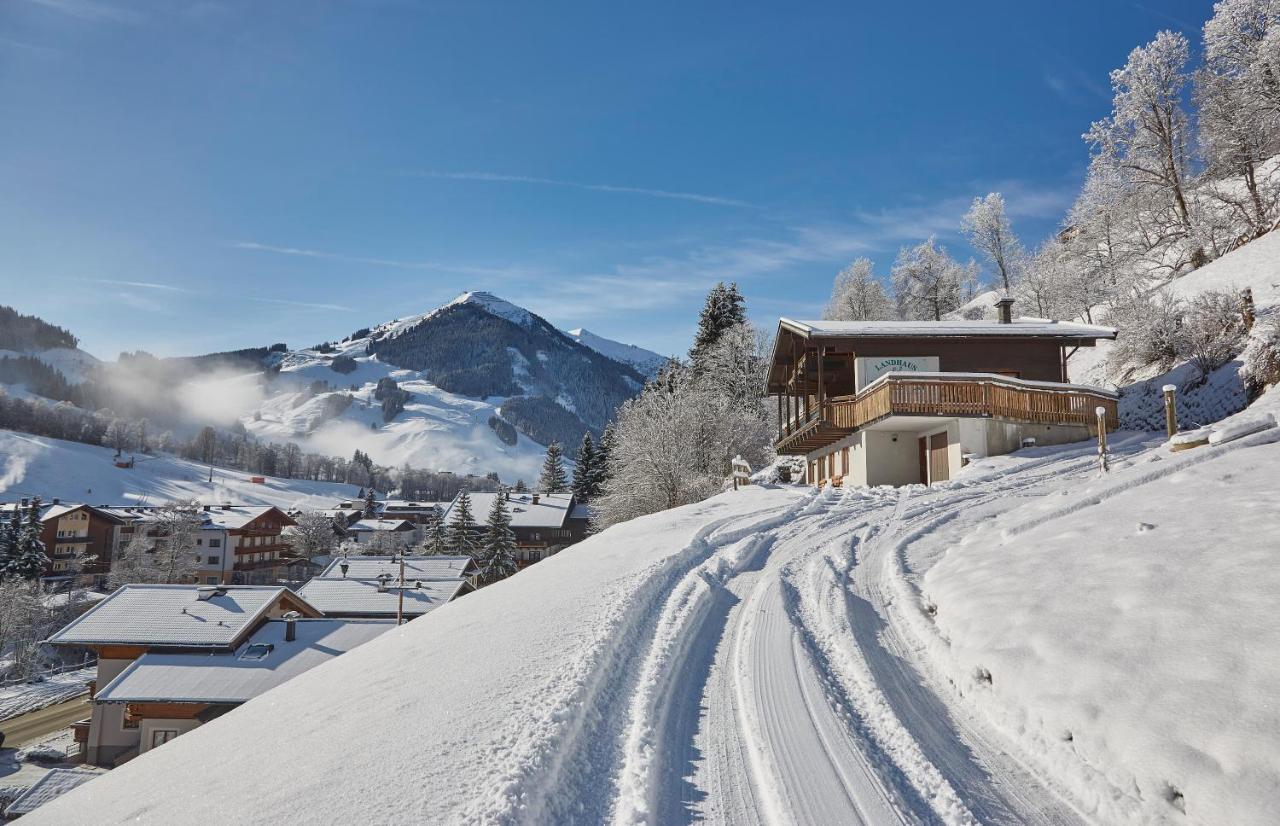Chalet Lodge Hubertus 萨尔巴赫 外观 照片